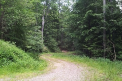 05-moticina-staklana-biciklisticka-ruta