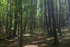 14-papuk-3-vrha-biciklisticka-ruta