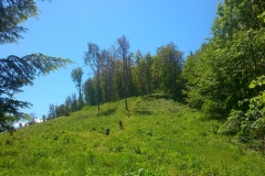 5-papuk-3-vrha-biciklisticka-ruta