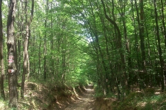 10-mecsek-hungary-biciklisticka-ruta