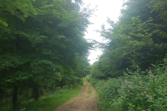 11-mecsek-hungary-biciklisticka-ruta