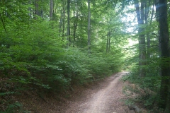 12-mecsek-hungary-biciklisticka-ruta