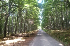 14-mecsek-hungary-biciklisticka-ruta