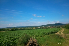 2-mecsek-hungary-biciklisticka-ruta