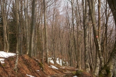 20-smerovisce-japetic-biciklisticka-ruta