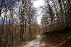 13-smerovisce-japetic-biciklisticka-ruta-v2