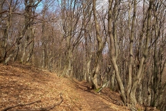 20-smerovisce-japetic-biciklisticka-ruta-v2