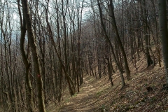 21-smerovisce-japetic-biciklisticka-ruta-v2