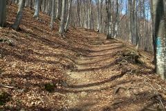 22-smerovisce-japetic-biciklisticka-ruta-v2