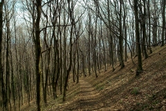 23-smerovisce-japetic-biciklisticka-ruta-v2