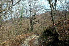 24-smerovisce-japetic-biciklisticka-ruta-v2