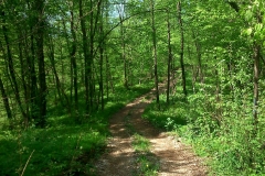 49-mreznica-biciklisticka-ruta