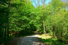 11-ozalj-vivodina-biciklisticka-ruta
