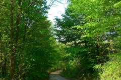 7-ozalj-vivodina-biciklisticka-ruta