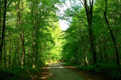 9-ozalj-vivodina-biciklisticka-ruta