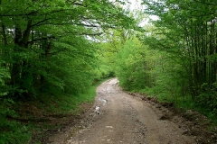 13-rastoke-biciklisticka-ruta