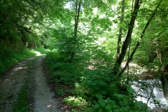2015-06-21-Kanjon-Slapnice-041-biciklisticka-ruta