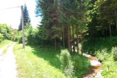 2015-06-21-Kanjon-Slapnice-045-biciklisticka-ruta