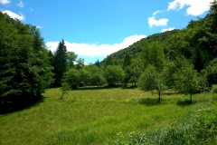 2015-06-21-Kanjon-Slapnice-047-biciklisticka-ruta