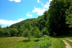 2015-06-21-Kanjon-Slapnice-048-biciklisticka-ruta