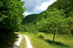 2015-06-21-Kanjon-Slapnice-049-biciklisticka-ruta