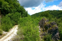 2015-06-21-Kanjon-Slapnice-054-biciklisticka-ruta