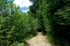 2015-06-21-Kanjon-Slapnice-061-biciklisticka-ruta
