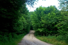 2015-06-21-Kanjon-Slapnice-064-biciklisticka-ruta