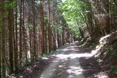 2015-06-21-Kanjon-Slapnice-069-biciklisticka-ruta