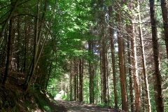 2015-06-21-Kanjon-Slapnice-070-biciklisticka-ruta