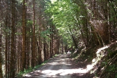 2015-06-21-Kanjon-Slapnice-071-biciklisticka-ruta