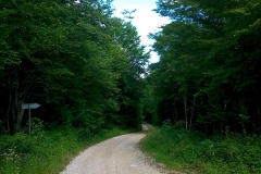 2015-06-21-Kanjon-Slapnice-072-biciklisticka-ruta