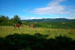2015-06-21-Kanjon-Slapnice-098-biciklisticka-ruta