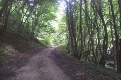 2015-06-21-Kanjon-Slapnice-137-biciklisticka-ruta