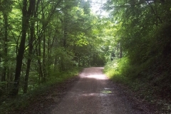2015-06-21-Kanjon-Slapnice-148-biciklisticka-ruta