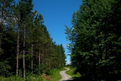 16-korana-i-mreznica-biciklisticka-ruta