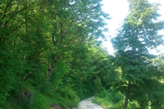 13-slani-dol-biciklisticka-ruta