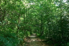 19-slani-dol-biciklisticka-ruta