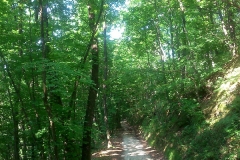 6-slani-dol-biciklisticka-ruta