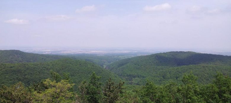 Biciklistička ruta: Motičina - Gazije V.5