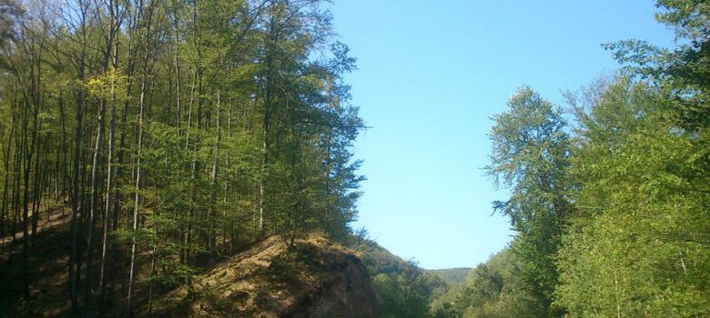 Biciklistička ruta: Jankovac - Radar V.2