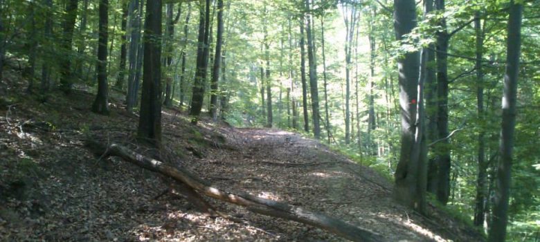 Biciklistička ruta: Jankovac - Pušina - Mrežarski rust