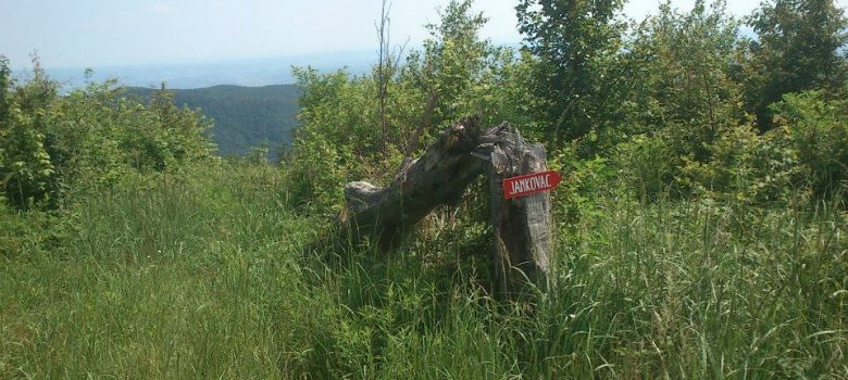 Biciklistička ruta: Kapavac - javor